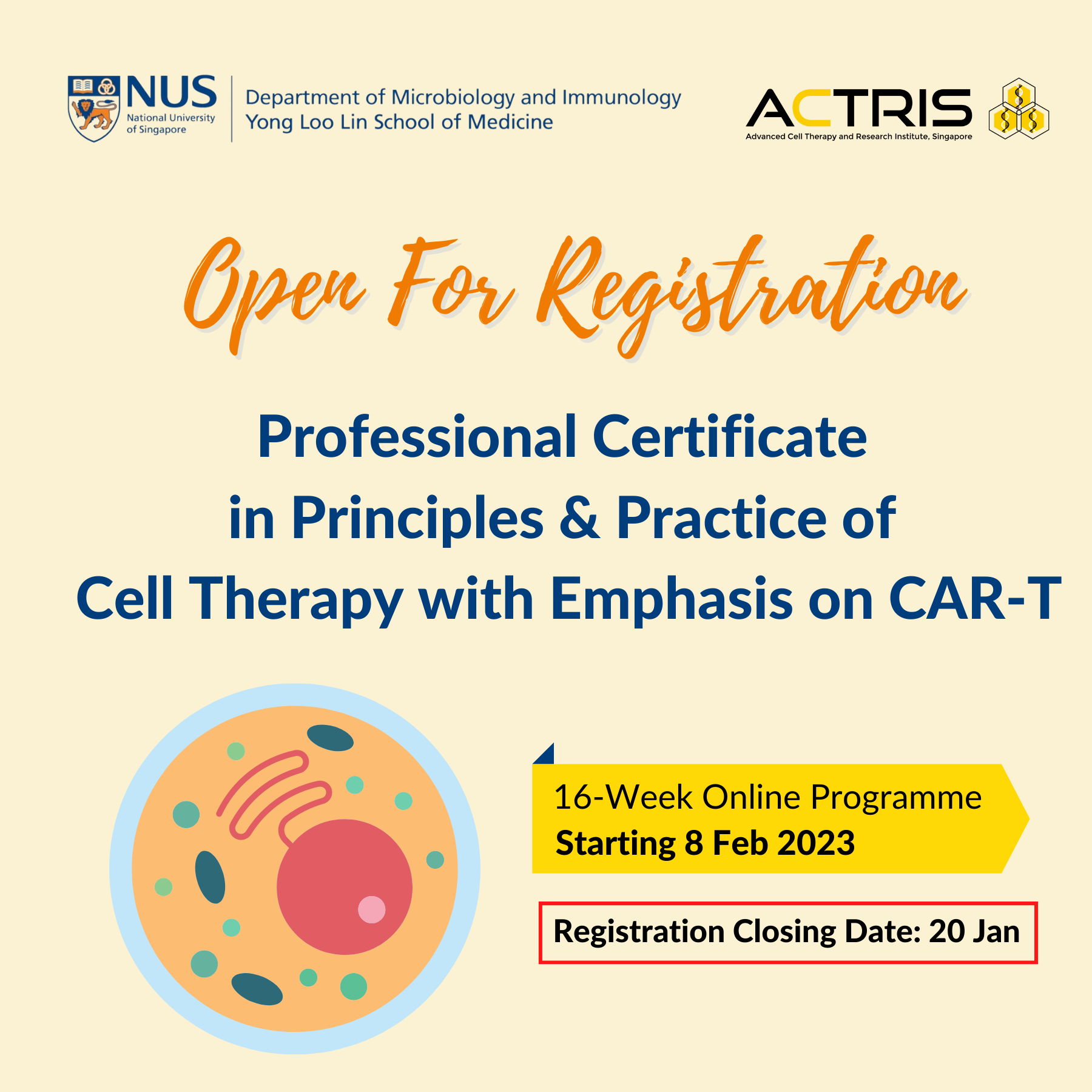 Cell Therapy with Emphasis on CAR-T